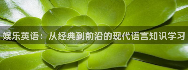超凡国际下载app