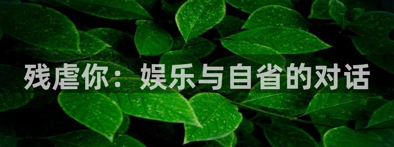 超凡国际官网